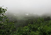 IMG 7696
