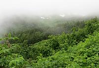 IMG 7697