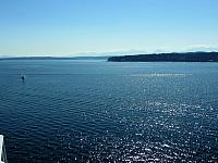 IMG 7550