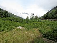 IMG 7788