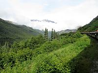 IMG 7794