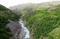 IMG 7821