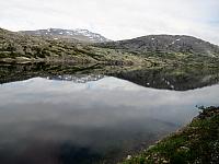 IMG 7845