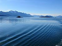 IMG 7918