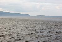 IMG 7991 (2)