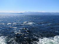 IMG 8002