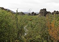 IMG 9103