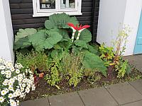 IMG 9151