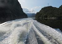IMG 8908