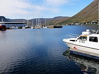 IMG 9232