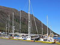 IMG 9239
