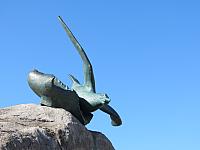 IMG 9244
