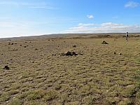 IMG 9285