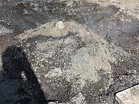 IMG 9325