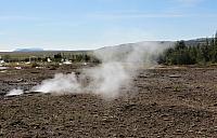 IMG 9355
