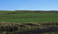 IMG 9391
