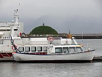 IMG 9403