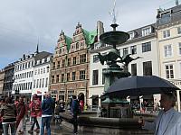 IMG 8351