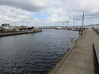 IMG 8498