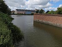 IMG 8550