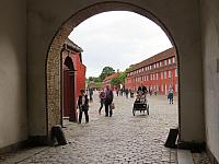 IMG 8731