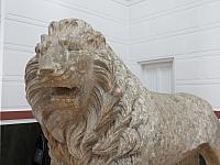 IMG 8757