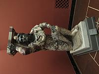 IMG 8774