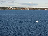 IMG 8830