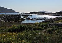 IMG 9875