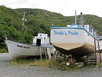 IMG 0058