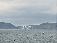 IMG 9957