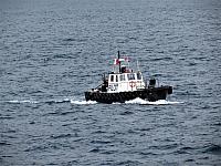 IMG 9958