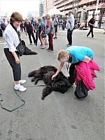 IMG 9990