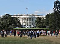 IMG 0199