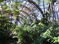 IMG 0575