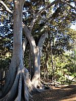 IMG 0583