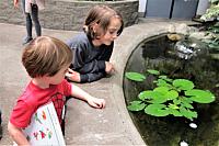 IMG 0716