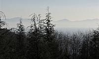 IMG 0838