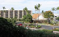 IMG 0946