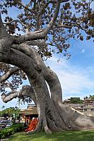 IMG 0949