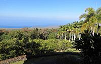 IMG 0980