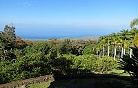 IMG 0981