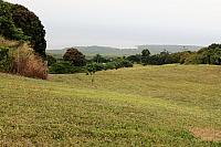 IMG 1014