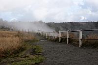 IMG 1117