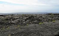 IMG 1157