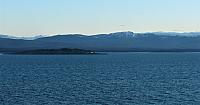 IMG 1632