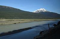 IMG 1917