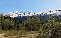 IMG 1950