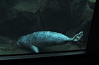 IMG 2084