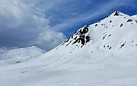 IMG 2236